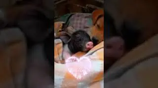 #дружба