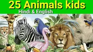 Animals kids name (Hindi) babies of animals - animals children name