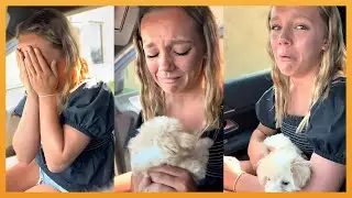 NEW PUPPY SURPRISE COMPILATION 2024 | WHOLESOME SURPRISE MOMENTS