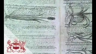 Botanical Notebooks of Frank Nicholls | Liz McGow and Janet Ashdown