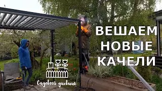 Садовый дневник V. НОВОЕ ПОДВЕСНОЕ КРЕСЛО. МУЛЬЧИРУЕМ ГОЛУБИКУ. САЖАЕМ ОГУРЦЫ, ГОРТЕНЗИИ И ЯБЛОНЮ.