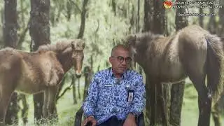 Testimoni Penerapan Konsep Eco-Office di BKD NTT | Badan Kepegawaian Daerah Provinsi NTT