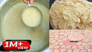 1 किलो चावल के आटे से सही माप के साथ ढेरों पापड़ बनाने की आसान विधि Chawal ke Papad/Rice flour papad
