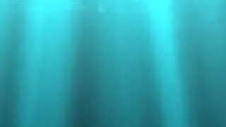 Shower Sounds