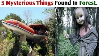 5 Mysterious Things Found In Forest | #Hawksinfo.