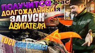 FORD TRANSIT CONNECT Запуск двигателя после замены ТНВД Siemens VDO K1001