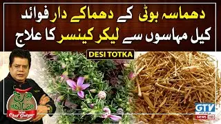 Chef Gulzar kay totkay | Benefits of Dhamasa Booti | Cure of Acne to Cancer | Mirch Masala