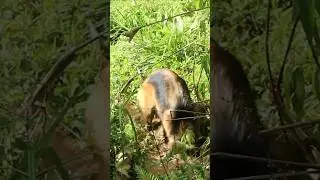 relaxing in nature