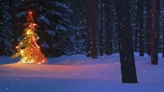 Joyeux Noël à vous toutes et tous