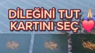 DİLEĞİNİ TUT KARTINI SEÇ. SANA MESAJIM VAR !!!