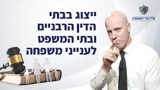 ייצוג בבית הדין הרבניים ובתי המשפט לענייני משפחה