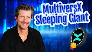 MultiversX: Crypto’s Best Kept Secret Revealed