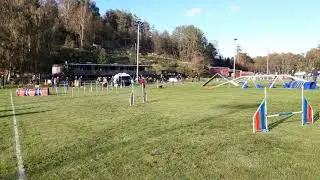 Cassie Ag3B GMBK 2019-10-05