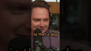 Discord Memes