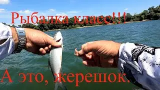 Джиг спиннинг на Беляевских карьерах,Август.Не грузятся  ролики переходите на Рутуб, и Дзен.
