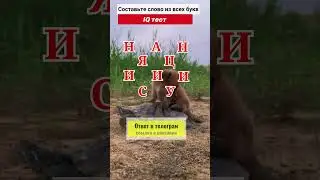 IQ TEST №64 Сможете пройти?