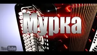 Мурка. на гармони. Murka. na garmoni