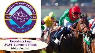 Breeders' Cup 2024: Friday: Top Picks at Del Mar: Future Stars Friday #2024breederscup