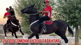 Арзон бо гарантия аспи бузи 24 июня 2025 г.