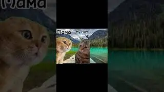 #дуэт #ржака #suspectsтаинственныйособняк #cat #graffiti #жиза #funny #dance #suspectsmeme