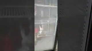 Шкаф холодильный Марихолодмаш Капри 1,12 уск(№122)