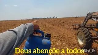 Segue preparo do solo,  terra de primeiro ano de plantio,  patrola, garfo e grade
