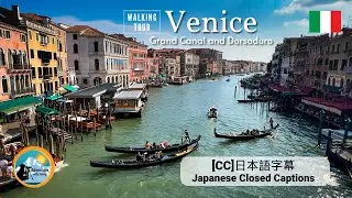 Venice Italy | Grand Canal Venice Walking | Grand Canal and Dorsodur Rialto Bridge Accademia Bridge