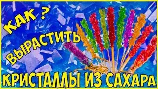 Grow Crystals from Sugar // an Amazing experience at home from Umnik Razumnik DIY