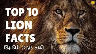 Top 10 Lion Facts | GK MCQ | GK || GK in Gujarati || GK Question and Answer || GK Quiz || GK with AM