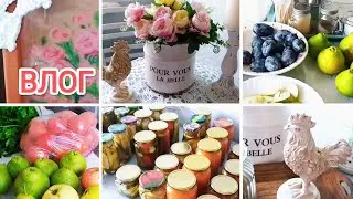 ФИКС ПРАЙС новинки😍 Мои ЗАГОТОВКИ🧐 Подарок от подписчицы😃 СПАСИБО 🥰🍀