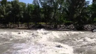 Кузя и Ларик, покатушки на валу