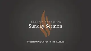 Proclaiming Christ in the Culture — Bishop Barron’s Sunday Sermon