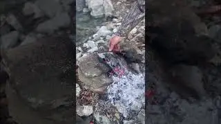 NJE PREGADITJE MENGJESI NE BJESHKË!! #food #cooking #asmr #outdoorcooking