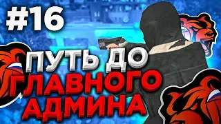ПУТЬ ДО ГЛАВНОГО АДМИНА #16 БЛЕК РАША / BLACK RUSSIA / БЛЭК РАША