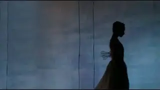 Spreading wings / Documentary about ballerina Zhanna Gubanova (Stanislavsky Music Theatre)
