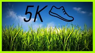I Walked 5K Everyday for a Month!