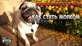 КАК СТАТЬ МОПСОМ В GTA5 ЛОФОФОРЫ 5#27