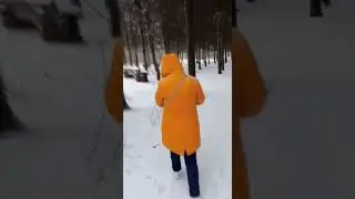 прогулка по лесопарку