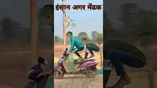 अगर इंसान मेंढक होता तो?🤯😱 #viral #shorts #animal