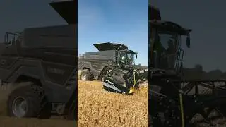 FENDT Ideal 10T Combine Harvesting Wheat 
