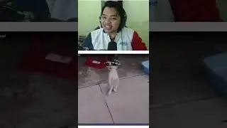 React Meme Discord Lucu 