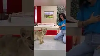 @cristinabuhinbalta2738