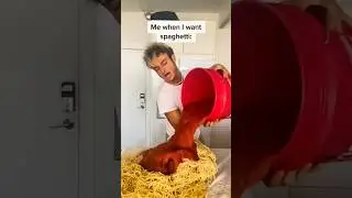 Pas de gâchis ! 🍝