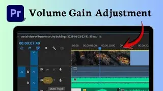 How to mute audio in Adobe Premiere Pro (Interface Navigation)