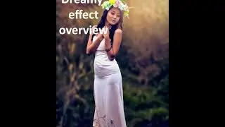 DREAMY EFFECT OVERVIEW 2016