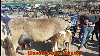 ШАНБЕБОЗОРИ ФАРХОР САВДО ТАМОМАН НЕСТ НАРХИ ГОВУ БУКА ГУНАЧИН апреля 2021 г.