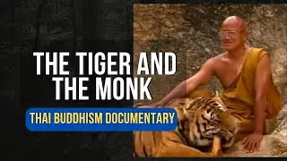 The Tiger and the Monk - The Secrets of Nature Documentary