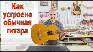 Обычная гитара. Характеристики и особенности. Какая она изнутри.