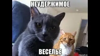 Веселье ещё (Мини нарезка 106)