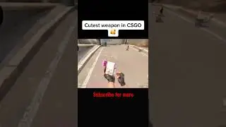 Would u buy this skin for your girlfriend?😂#csgo #csgoclips #csgofunny